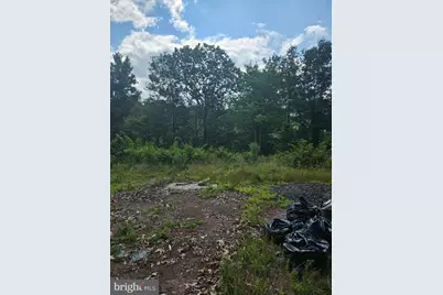 Lot 2 Blackberry Meadows No Physical Address, Paw Paw, WV 25434 - Photo 4