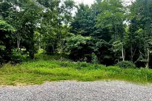 172 Majestic Ln, Springfield, WV 26763 - Photo 20