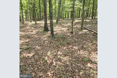 Lots 24 -25 Ashley Court, Shanks, WV 26761 - Photo 2