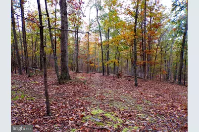 Lot 29 Deer Ridge Estates, Springfield, WV 26763 - Photo 6