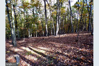 Lot 29 Deer Ridge Estates, Springfield, WV 26763 - Photo 4