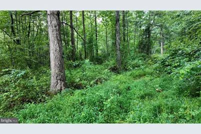 1895 Becks Gap Road, Capon Bridge, WV 26711 - Photo 70