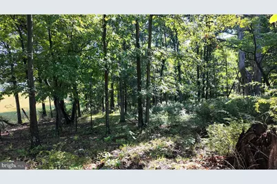 1895 Becks Gap Road, Capon Bridge, WV 26711 - Photo 92