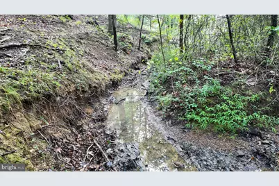 1895 Becks Gap Road, Capon Bridge, WV 26711 - Photo 80