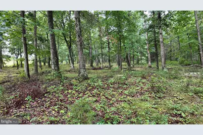 1895 Becks Gap Road, Capon Bridge, WV 26711 - Photo 84