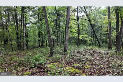 1895 Becks Gap Road, Capon Bridge, WV 26711 - Photo 66