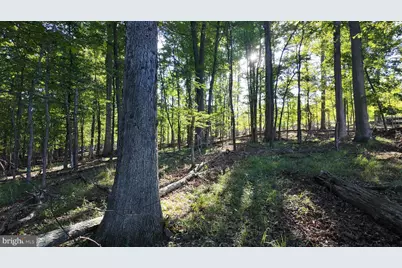 Racey Road, Augusta, WV 26704 - Photo 18