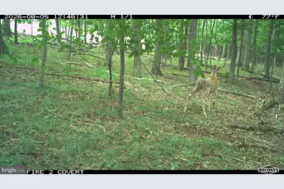 Racey Road, Augusta, WV 26704 - Photo 32