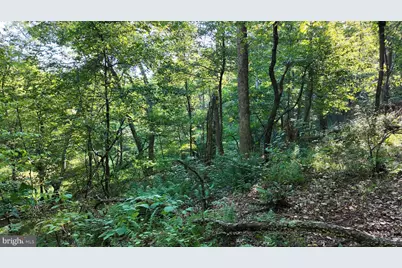 Racey Road, Augusta, WV 26704 - Photo 28
