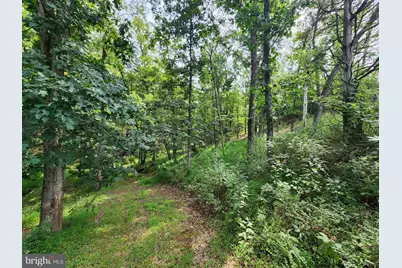 Lot 28 Quivey's Grove, Romney, WV 26757 - Photo 14