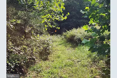Lot 28 Quivey's Grove, Romney, WV 26757 - Photo 24