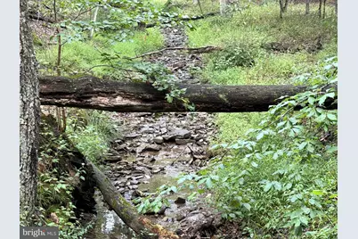 190 Bluffs On The Potomac, Romney, WV 26757 - Photo 36