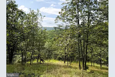 190 Bluffs On The Potomac, Romney, WV 26757 - Photo 10