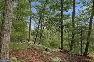 899 Oak Dale Ct, Capon Bridge, WV 26711 - Photo 4