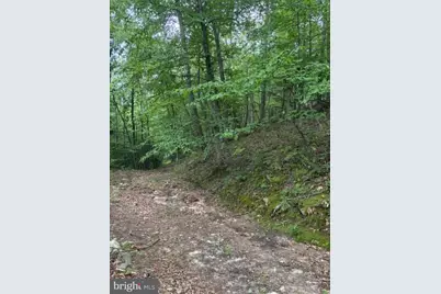 2011 Bear Garden Trail, Capon Bridge, WV 26711 - Photo 28