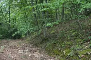 2011 Bear Garden Trail, Capon Bridge, WV 26711 - Photo 28
