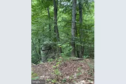2011 Bear Garden Trail, Capon Bridge, WV 26711 - Photo 30