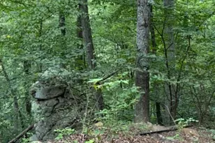 2011 Bear Garden Trail, Capon Bridge, WV 26711 - Photo 30