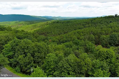 770 Staubwoods Drive, Romney, WV 26757 - Photo 112