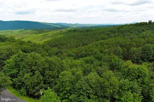 770 Staubwoods Dr, Romney, WV 26757 - Photo 112