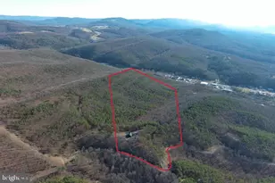 770 Staubwoods Dr, Romney, WV 26757 - Photo 116