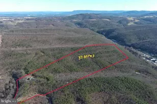 770 Staubwoods Dr, Romney, WV 26757 - Photo 118