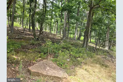 Lots 6 & 7 Pioneer Lane, Capon Bridge, WV 26711 - Photo 6