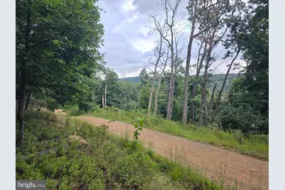 Lots 6 & 7 Pioneer Lane, Capon Bridge, WV 26711 - Photo 8