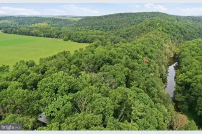 547 Twin Flower Lane, Capon Bridge, WV 26711 - Photo 32
