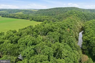 547 Twin Flower Ln, Capon Bridge, WV 26711 - Photo 32