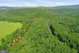547 Twin Flower Ln, Capon Bridge, WV 26711 - Photo 2