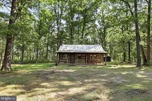 547 Twin Flower Ln, Capon Bridge, WV 26711 - Photo 4