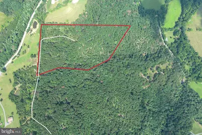 20 Unrestricted Acres, Romney, WV 26757 - Photo 10