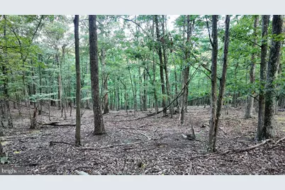 607 Feller Drive, Levels, WV 25431 - Photo 6