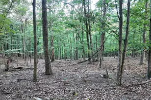 607 Feller Dr, Levels, WV 25431 - Photo 6