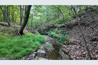 607 Feller Drive, Levels, WV 25431 - Photo 10