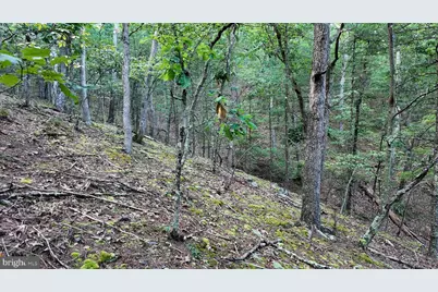 607 Feller Drive, Levels, WV 25431 - Photo 16