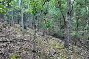 607 Feller Dr, Levels, WV 25431 - Photo 16