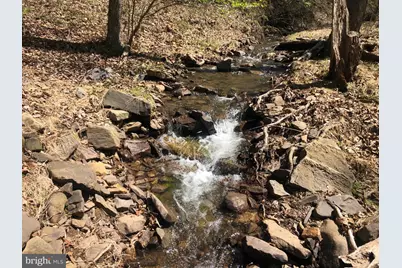 218 Bluffs On The Potomac, Romney, WV 26757 - Photo 10