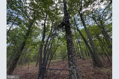 218 Bluffs On The Potomac, Romney, WV 26757 - Photo 16