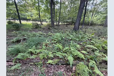 218 Bluffs On The Potomac, Romney, WV 26757 - Photo 22