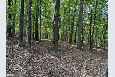 6376 Spring Gap Road, Slanesville, WV 25444 - Photo 12