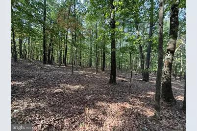 6376 Spring Gap Road, Slanesville, WV 25444 - Photo 6