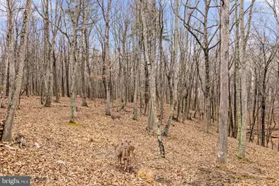 2368 Crossings View Road, Paw Paw, WV 25434 - Photo 52