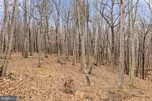 2368 Crossings View Rd, Paw Paw, WV 25434 - Photo 52