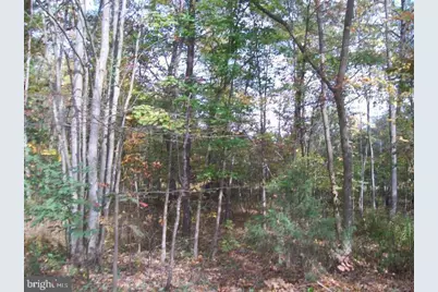 Autumn Lane, Capon Bridge, WV 26711 - Photo 2