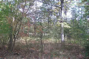 Autumn Ln, Capon Bridge, WV 26711 - Photo 1