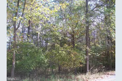 Autumn Lane, Capon Bridge, WV 26711 - Photo 6