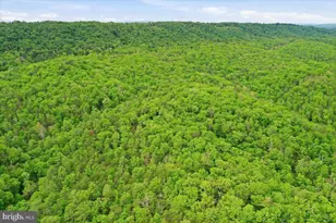 Dave Moreland Rd, Slanesville, WV 25444 - Photo 28