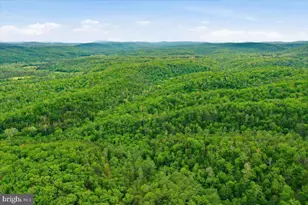 Dave Moreland Rd, Slanesville, WV 25444 - Photo 32